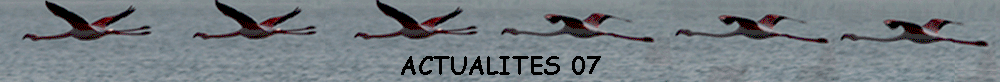 ACTUALITES 07