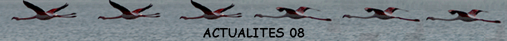 ACTUALITES 08