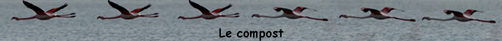 Le compost