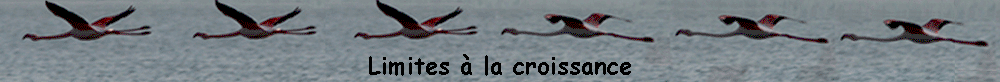 Limites  la croissance