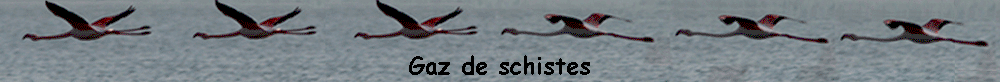 Gaz de schistes