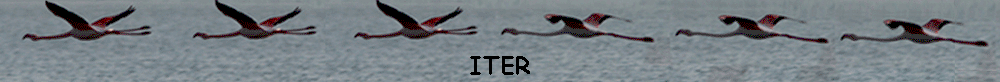 ITER