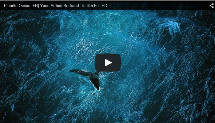 FILM : YANN ARTHUS-BERTRAND : PLANETE OCEAN (1h30)